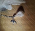 /album/unsere-werke-3/federkugel-tropfen-silber-jpg/